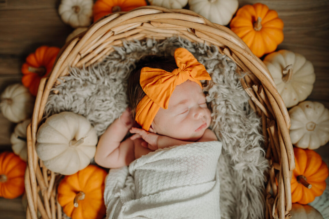 newborn pumpkin photo