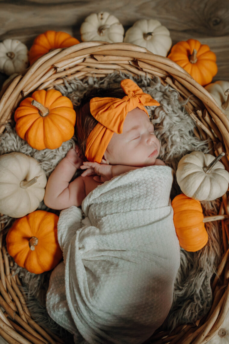 newborn pumpkin photo idea